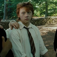Ronald Bilius Weasley ( Ron )