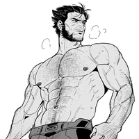 Wolverine (logan)