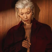 Đồng Ánh Quỳnh ( chị bảy )