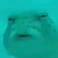 nhỏ cá mới ngủ dậy(t/g)