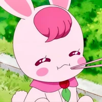 Rabbirin