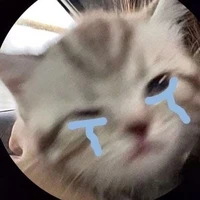 tg cute đây hẹ hẹ😍