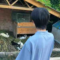 Dương Bác Văn(gả)