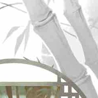 đệ tử thanh tĩnh phong