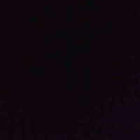 Tất cả mọi người ở đó