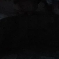? ? ?