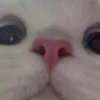 au