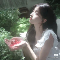 Y/N-Sgp Nấm/Candy Đào-