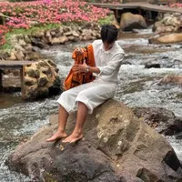 Việt Trung/VietTrungdzai