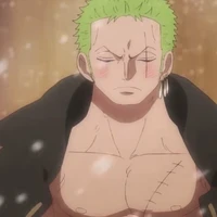 Zoro (Pitbull)