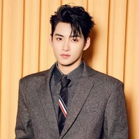 huỳnh hoàng hùng(gemini)