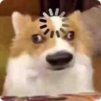 T/g