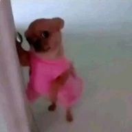 tg mê idol Việt, Thái, Hàn, Trung^^