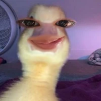 𝞙𝘾𝙐𝙊𝙉𝙂./ T_G