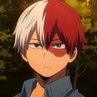 Todoroki Shoto |  Shoto