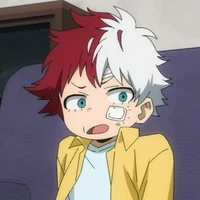 Todoroki Touya