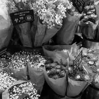 Nhân vật phụ.