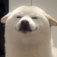 full giáo viên