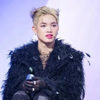 Nguyễn Thanh Pháp (Pháp kiều)