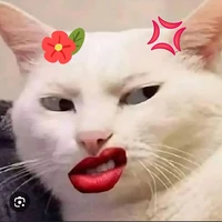 trà xanh //mattra lette//