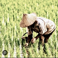 Mẹ Đức Duy