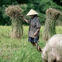 Ba Đức Duy