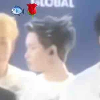 Nguyễn Thanh Pháp-Kiều