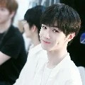 Tổng Kế Dương