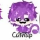 hiha catnap