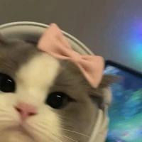 tgia nè