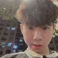 Nguyễn Hữu Đạt  | Phoenix |