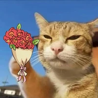 t/g