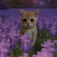 bo