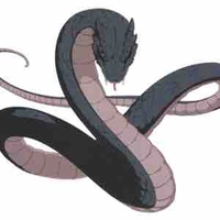 Aiku