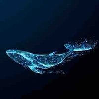 Cá voi xanh băng bác ngát