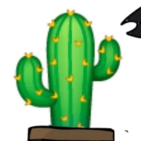 xương rồng/radio