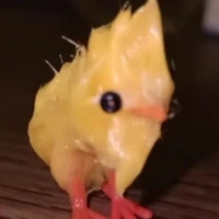 y/n (ae đọc chuyện)