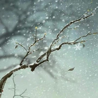 Tịnh Diện Tàn Tuyết