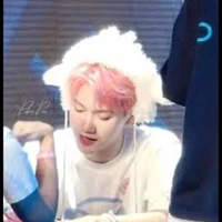 NGUYỄN THÁI SƠN ( mèo )