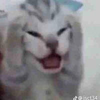Anh Đào(me)