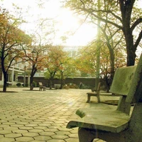 Nhân vật phụ