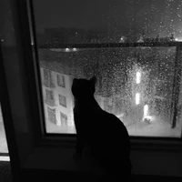 Người Tình Nhỏ Bé!!