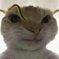 cả đám   ( trừ ai thì trừ)