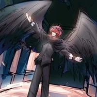 hiha crow