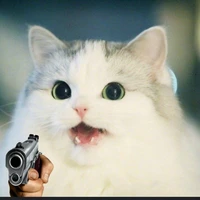 con mèo vô tội vạ《t/g》