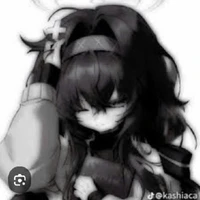 hệ thống 001(Niko)