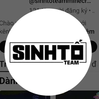 sinh tố team
