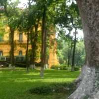 Pảnie đợp zai