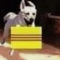 cali ( phản quốc )