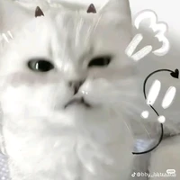 t/g